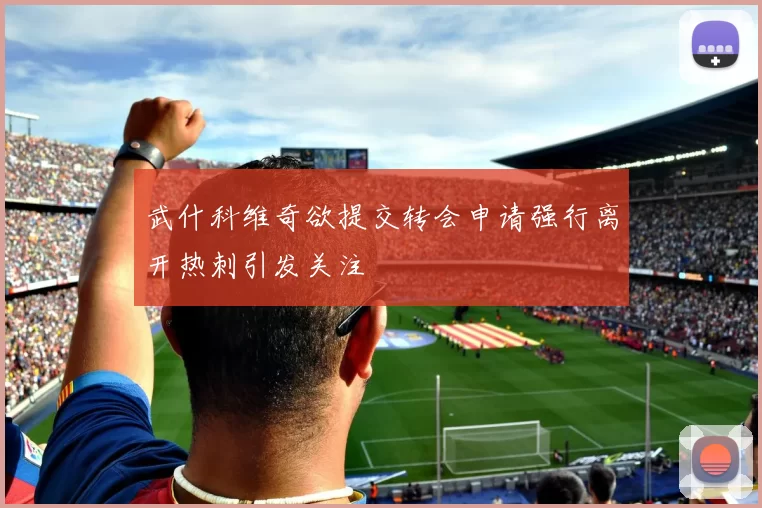 武什科维奇欲提交转会申请强行离开热刺引发关注